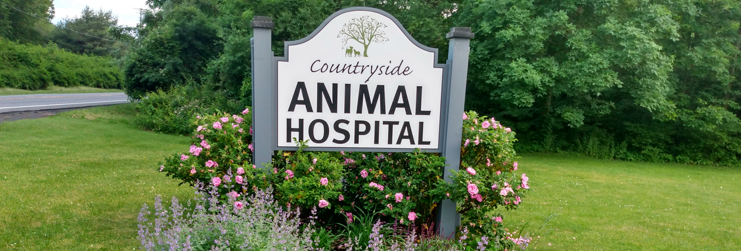 Countryside Animal Hospital | Staatsburg veterinary hospital