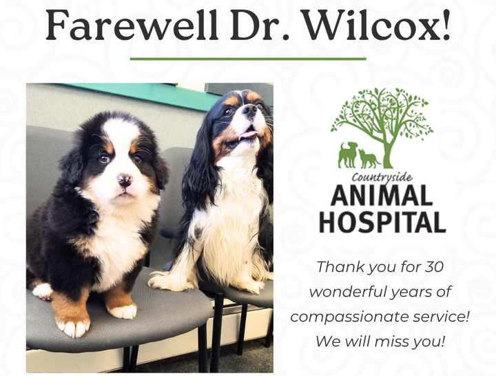 Farewell Dr. Wilcox!