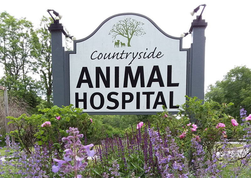 Carousel Slide 3: Countryside Animal Hospital