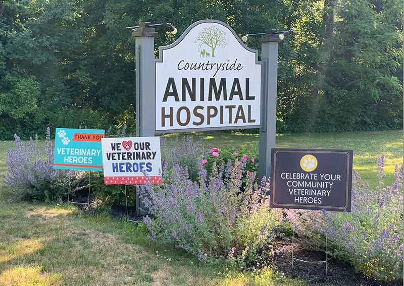 Carousel Slide 4: Countryside Animal Hospital