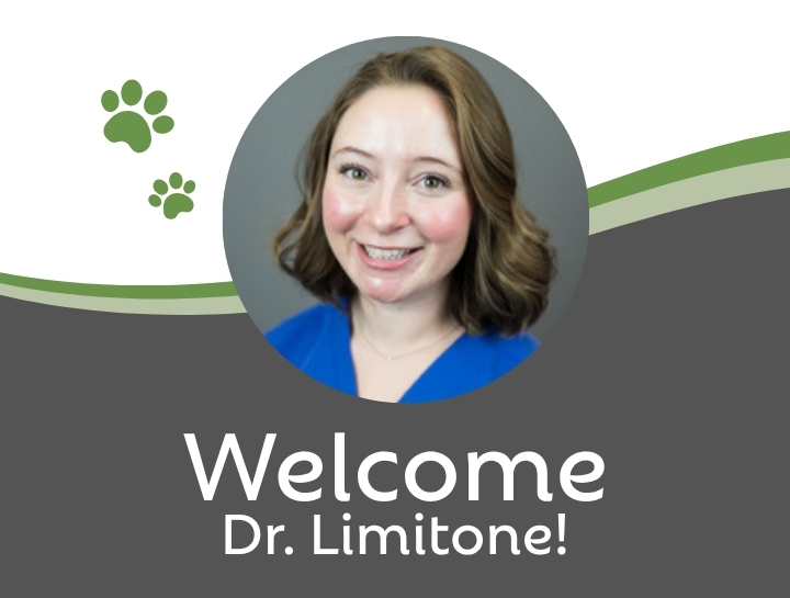 Welcome Dr. Limitone